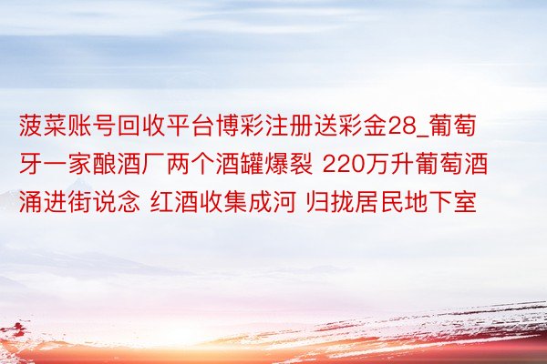 菠菜账号回收平台博彩注册送彩金28_葡萄牙一家酿酒厂两个酒罐爆裂 220万升葡萄酒涌进街说念 红酒收集成河 归拢居民地下室