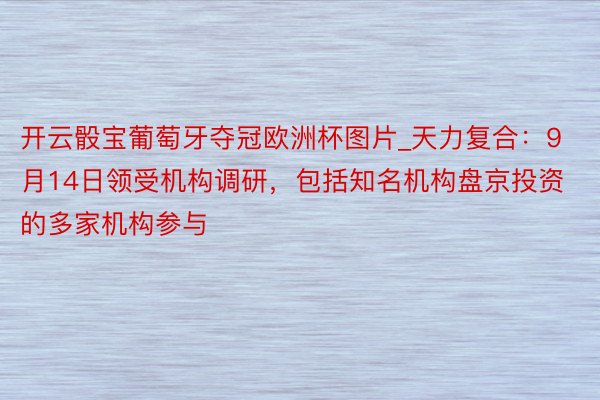 开云骰宝葡萄牙夺冠欧洲杯图片_天力复合：9月14日领受机构调研，包括知名机构盘京投资的多家机构参与
